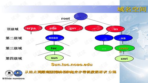 新手网络工程师指南 深入了解计算机网络应用层协议与应用